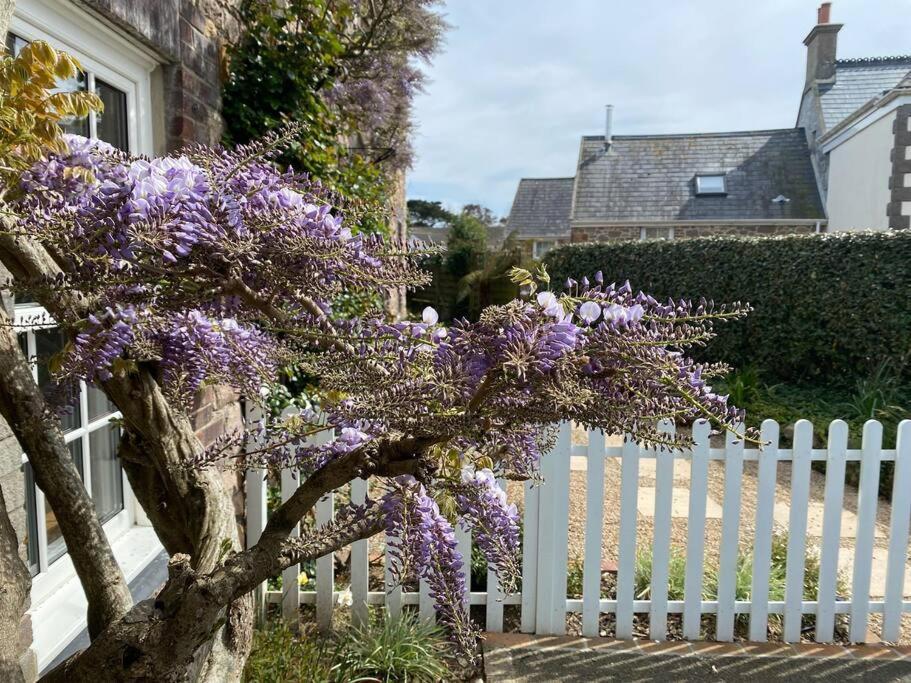 Country Cottage With Private Garden Close To Beach St Mary المظهر الخارجي الصورة